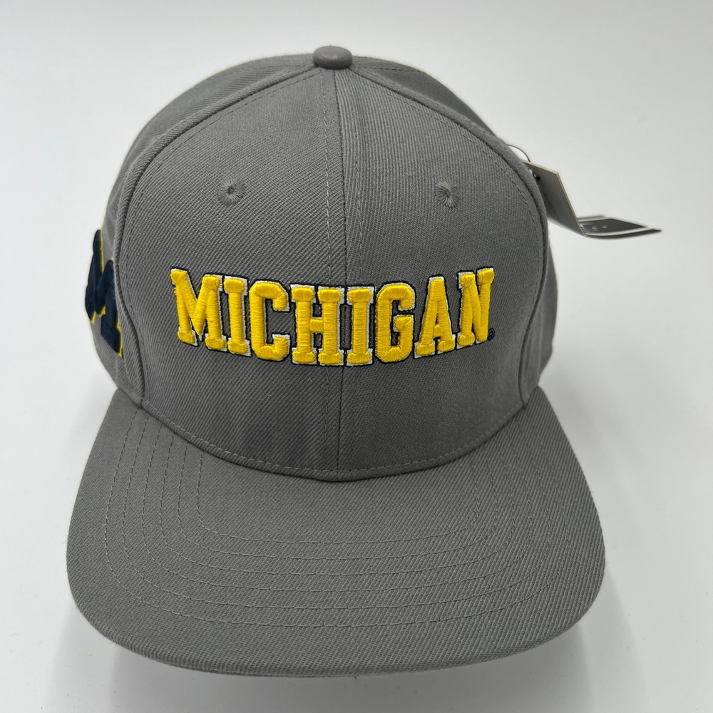 Michigan Wolverines Pro Standard Hat Gray Adjustable‎ Embroidered Wool Acrylic